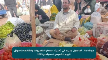 جوافة بـ8.. تفاصيل جديدة في تحديث أسعار الخضروات والفاكهة بأسواق اليوم الخميس 4 سبتمبر 2025